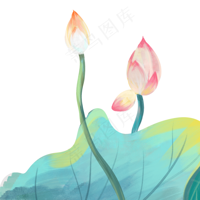 彩色荷花荷叶(2000X2000(DPI:300))psd模版下载