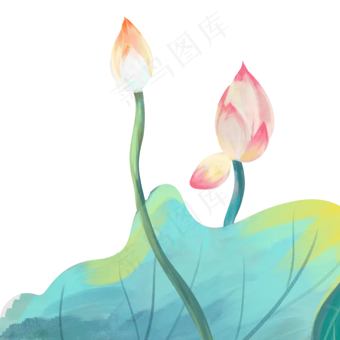 彩色荷花荷叶(2000X2000(DPI:300))psd模版下载