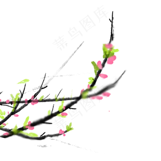 中国风水墨夏季立夏树枝树叶花开