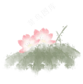 荷花莲叶水墨淡彩