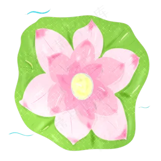 端午节莲花和荷叶