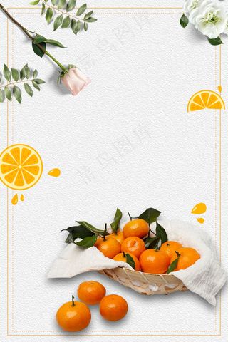 小清新新鲜蜜桔水果