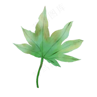 春天绿色水彩树叶,免抠元素