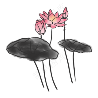 中国传统水墨荷花