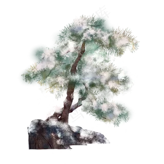 手绘古风冬天松树
