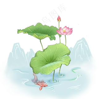 荷花荷叶夏季清新