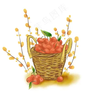 立秋丰收一篮子樱桃