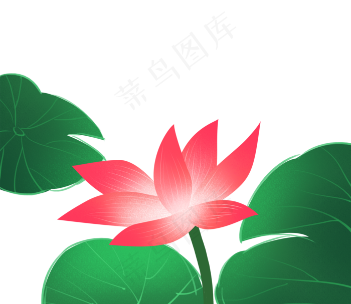鲜艳的荷花(2000X1735(DPI:300))psd模版下载