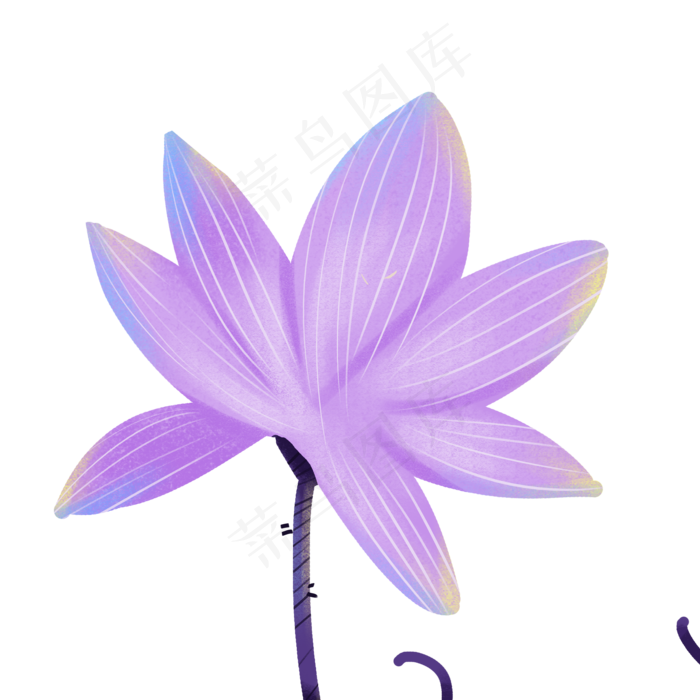 一朵紫色的荷花免扣图