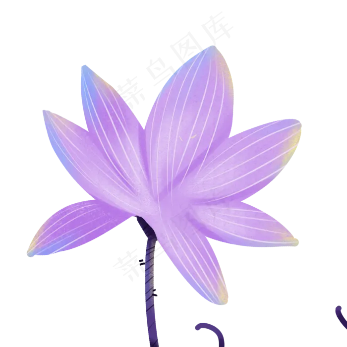 一朵紫色的荷花免扣图(2000X2000(DPI:300))psd模版下载