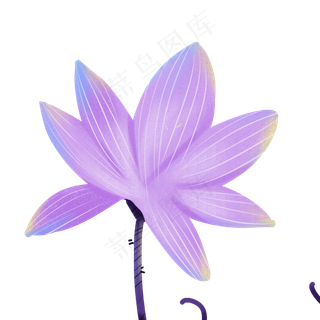 一朵紫色的荷花免扣图