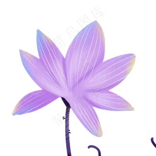 一朵紫色的荷花免扣图