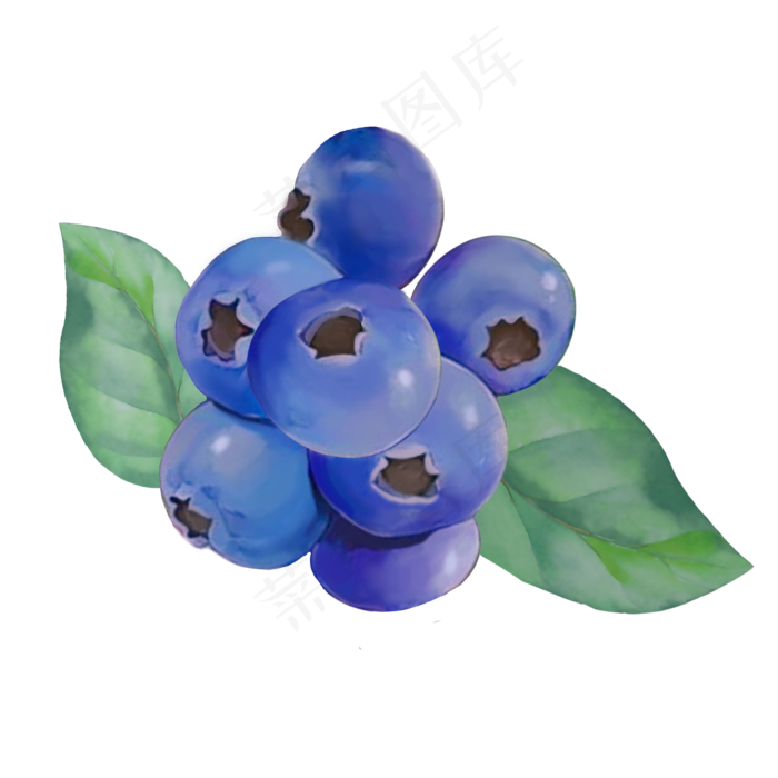 卡通蓝莓水果插画