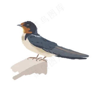 停下来的一只燕子