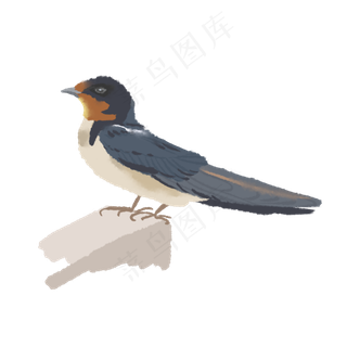 停下来的一只燕子