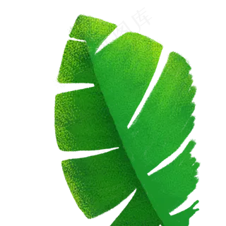 春天的卡通枝叶植物