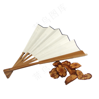 红藤中药药材,免抠元素