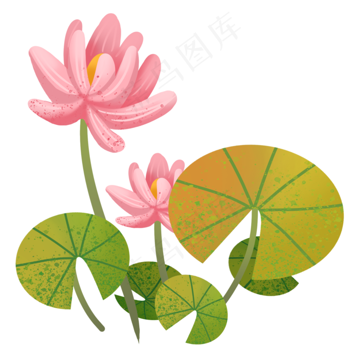 手绘夏日荷花荷叶插图(2000X2000(DPI:300))psd模版下载