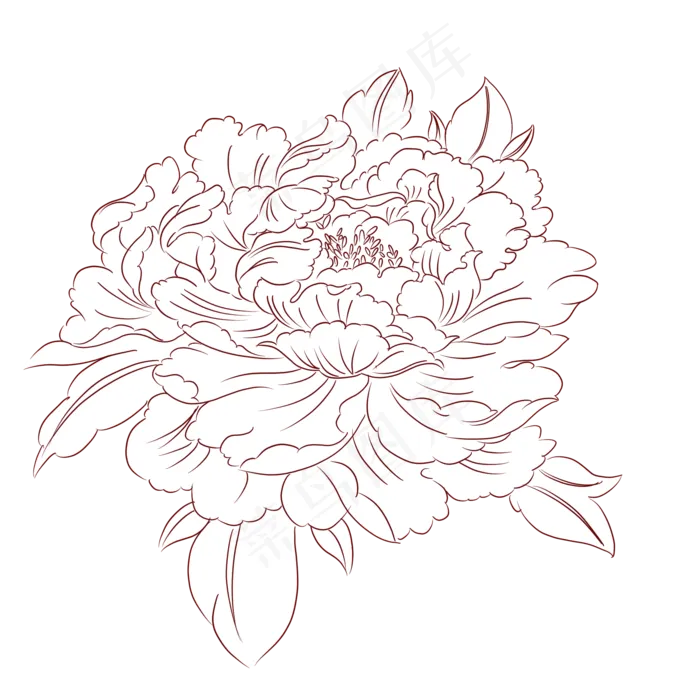 牡丹花线稿植物花草花线稿(2000X2000(DPI:300))psd模版下载