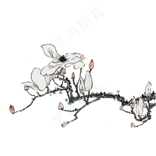 国画水墨玉兰花鸟玉兰洁白春天早,免抠元素