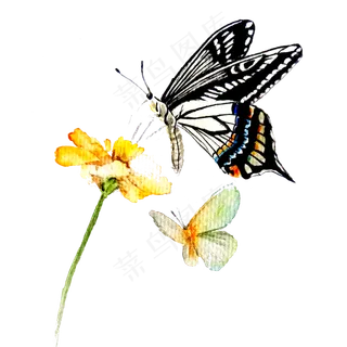 蝴蝶黄花翅膀装饰彩色PNG,免抠元素