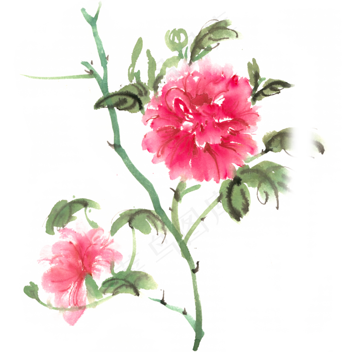 红色牡丹花(4724X4724(DPI:300))psd模版下载