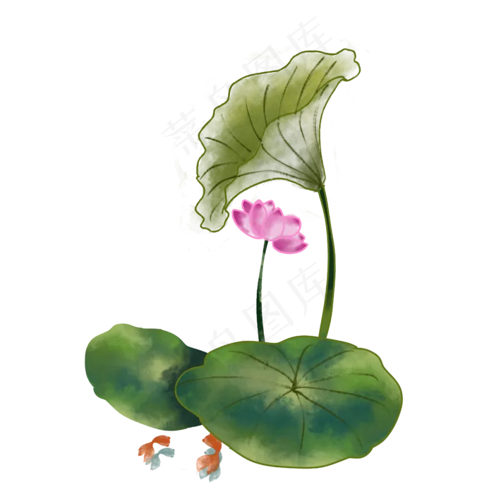 荷花莲花古典水墨国画夏日金鱼P