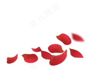 玫瑰花瓣飘落素材图