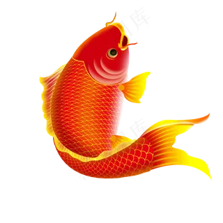 中国风年画鲤鱼,免抠元素