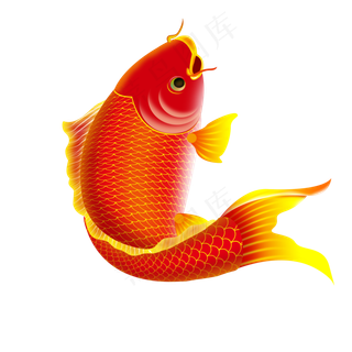 中国风年画鲤鱼,免抠元素