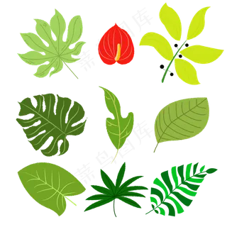 卡通热带风叶子矢量图