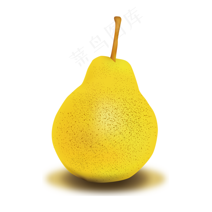 秋冬水果 梨 矢量