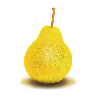 秋冬水果 梨 矢量