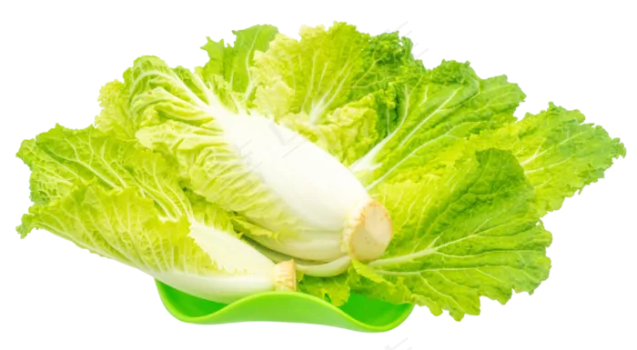 绿色白菜蔬菜(3000X3000(DPI:300))