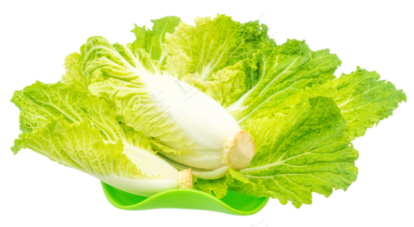 绿色白菜蔬菜 绿色白菜蔬菜