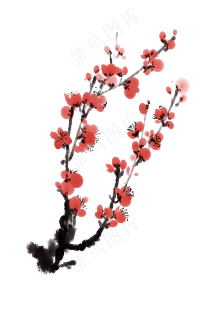 国画梅花花卉
