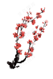 国画梅花花卉