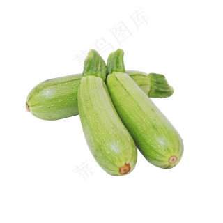 蔬菜西葫芦