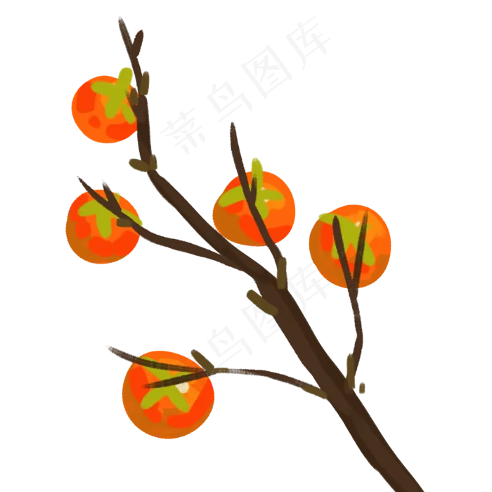秋季柿子树(2000X2000(DPI:300))psd模版下载