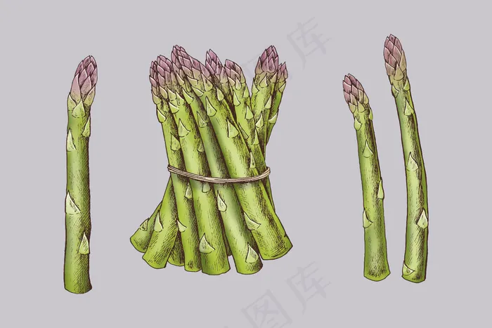 新鲜有机芦笋eps,ai矢量模版下载