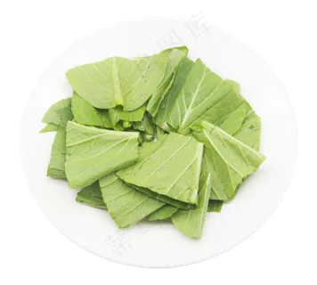 油麦菜绿色蔬菜 油麦菜绿色蔬菜