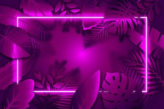 带紫色霓虹灯框的逼真树叶