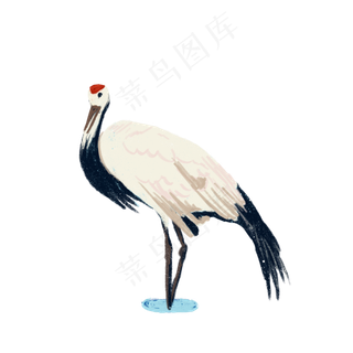 重阳节仙鹤海边憩息