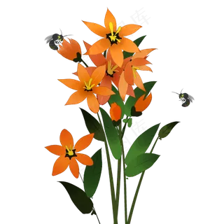 中国风花卉橘色花朵蜜蜂采蜜装饰