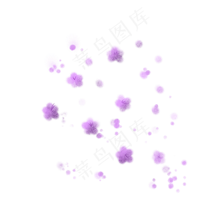 紫色落叶花朵花瓣落花