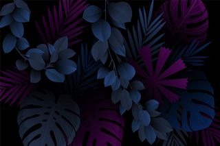 怪兽和树叶真实黑暗的热带背景