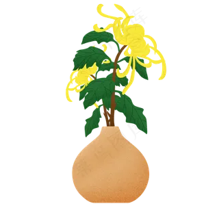 手绘家居系列美丽的菊花