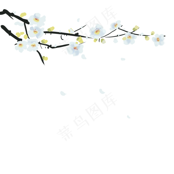 手绘白梅水墨插画插图