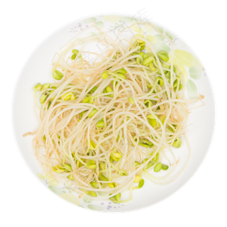 有机豆芽菜