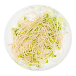 有机豆芽菜 有机豆芽菜